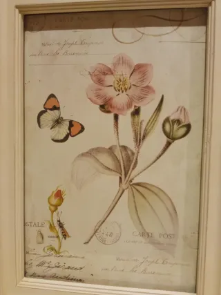 Pareja de cuadros decorativos