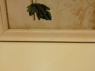 Pareja de cuadros decorativos