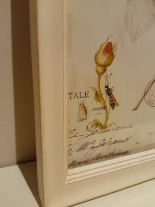 Pareja de cuadros decorativos