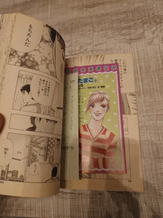 Capitán Tsubasa 6 camina al mundial 2002