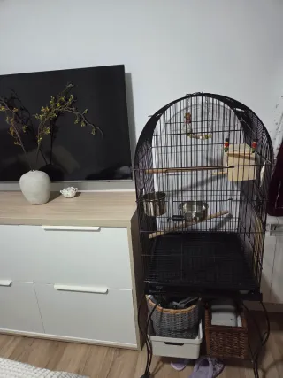 Jaula Grande para Loros y Ninfas