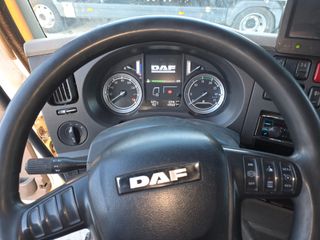 Camion rigido Daf LF 310 Far 2016