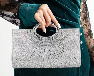 Bolso de fiesta/ceremonia plateado