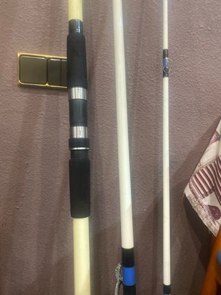 Caña de pescar Mastor