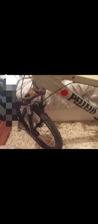 Bicicleta de montaña marca pellejo.
