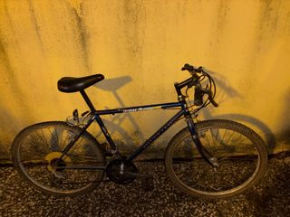 Bicicleta de Montaña Azul