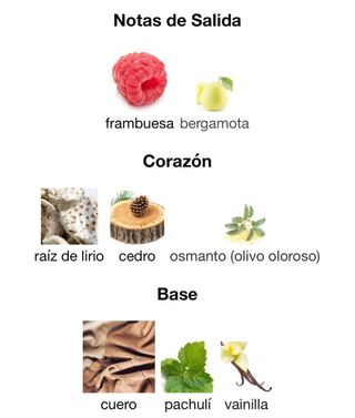 Lattafa Pride King of Arabia 100ml Eau de Parfum