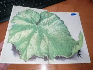 Libro: Cuentos Populares Rusos I