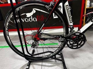 Bicicleta Dynatek Carbono