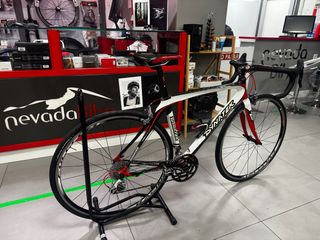 Bicicleta Dynatek Carbono