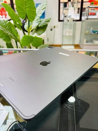 iPad Pro 12.9 6ª Gen 256 GB WiFi+eSIM Plata