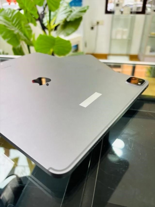 iPad Pro 12.9 6ª Gen 256 GB WiFi+eSIM Plata