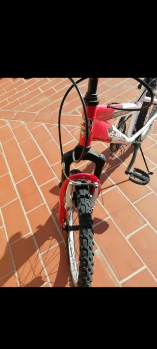 Bicicleta Montaña Infantil