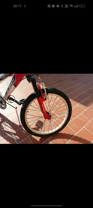 Bicicleta Montaña Infantil