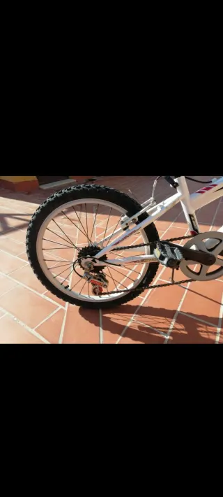 Bicicleta Montaña Infantil