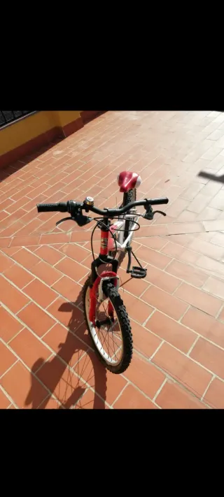 Bicicleta Montaña Infantil