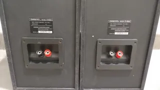 Altavoces Onkyo D-062A (Pareja)