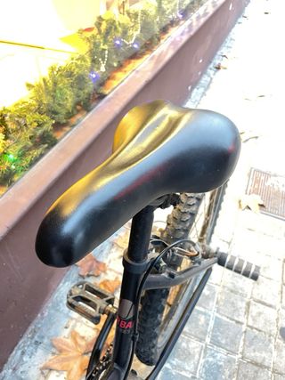 Bici negra con estriberas