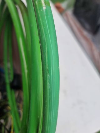 Manguera eléctrica verde