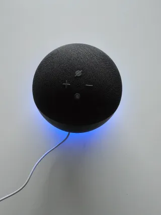 Alexa Echo Dot 5ª Gen Blu/Grigio