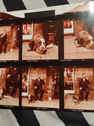 CD/DVD The Eels Meet The Essential Eels Vol.1