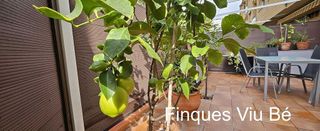 Piso en venta en Montserrat - Torre-Sana - Vilardell en Terrassa