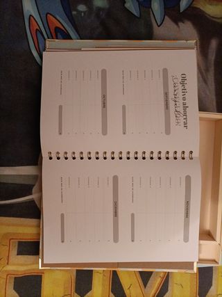 Agenda Mr. Wonderful 2025-2026 Semanal