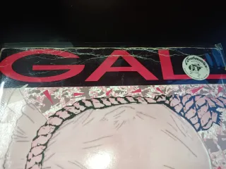 (7) LOTE GAL - What Will I Do?