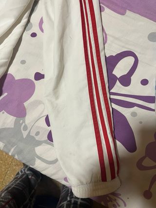 Chándal Adidas Bayern Múnich