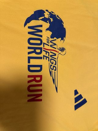 Conjunto Adidas Running Camiseta y Pantalón