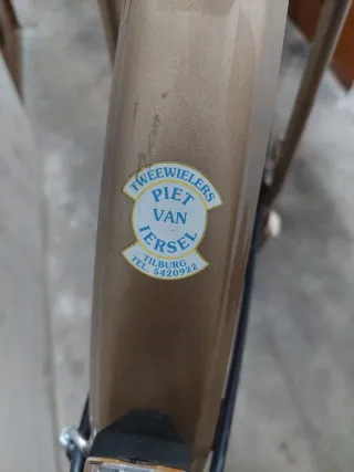 Bicicleta Holandesa Clásica