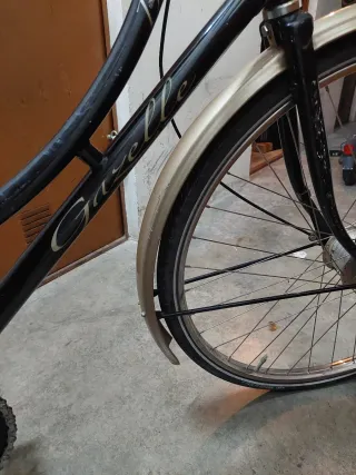 Bicicleta Holandesa Clásica