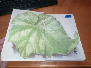 Libro: CUENTOS DE LA CHINA MILENARIA II