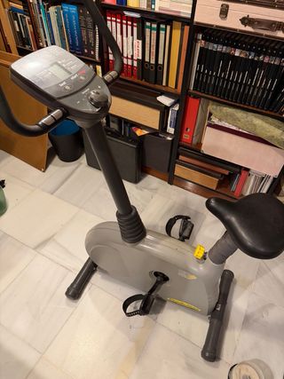 Bicicleta Estática Gris