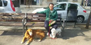 Paseador de perros/Passejadora de gossos.