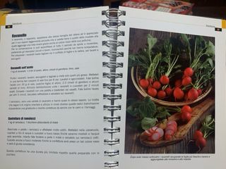 Ghiottonerie sottovetro