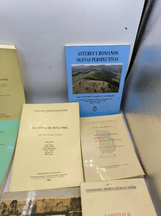 Libros de arqueología 15€ unidad