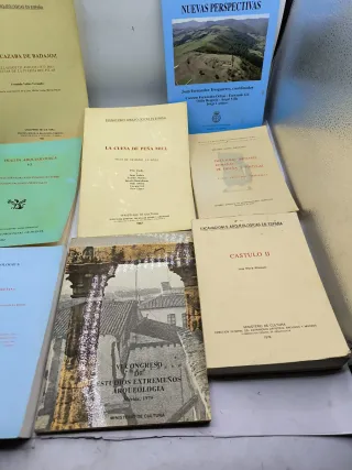 Libros de arqueología 15€ unidad