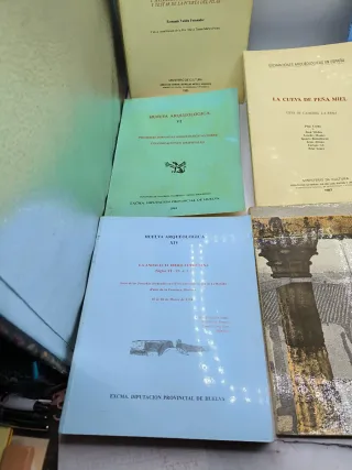 Libros de arqueología 15€ unidad