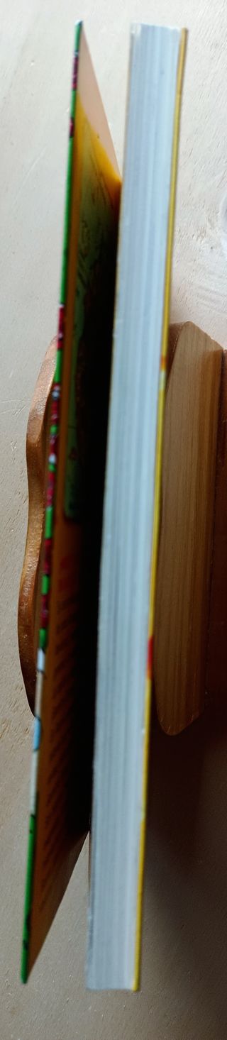 Libro Gerónimo Stilton