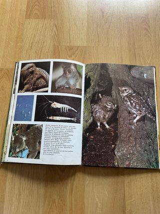 Libro Los misterios del mundo animal