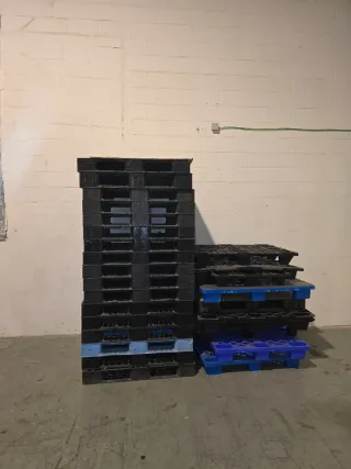 Lote 25 Palets de Plástico