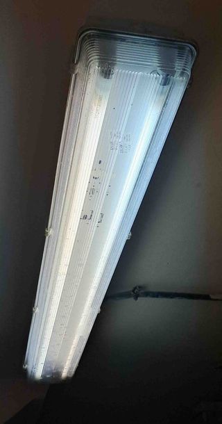 50 schermi fluorescenti da 1,26 m