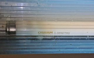 50 schermi fluorescenti da 1,26 m