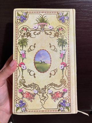 El hombre que susurraba a los caballos