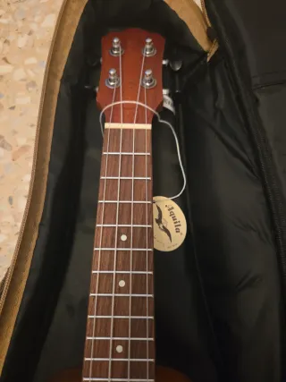 Ukelele Enrique Palacios