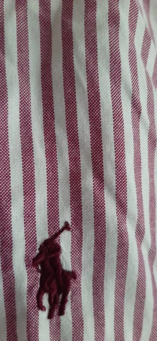 Camicia Polo Ralph Lauren a Righe Rosse