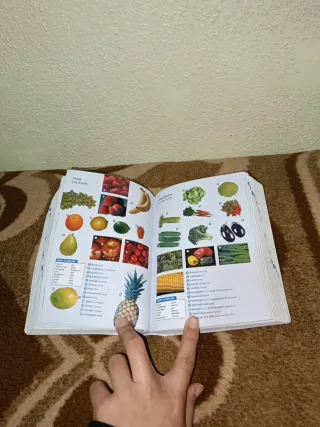 Diccionario Oxford Pocket para estudiantes de i...