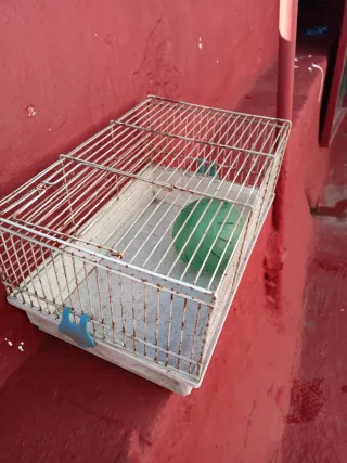 2 jaulas para hámster con accesorios