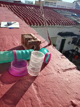 2 jaulas para hámster con accesorios